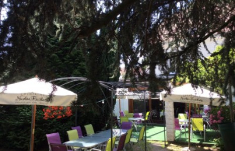 Les jardins de l'hamadryade — photo 8