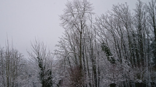 Le Relais d'M — photo 6