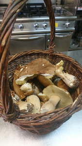 Le Basilic — photo 9