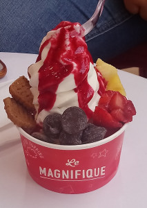Yogurt Factory Toulouse — photo 3
