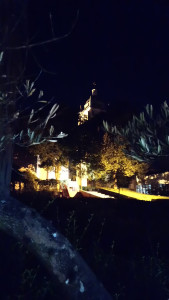 Le Jardin Du Pavillon — photo 9