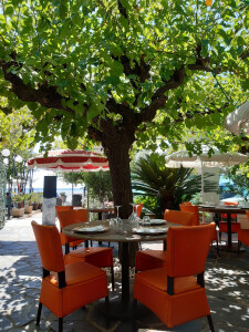 Le Bistrot (Hôtel le Provençal) — photo 4