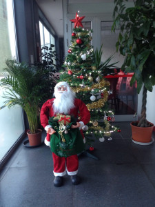 Wafu — photo 3