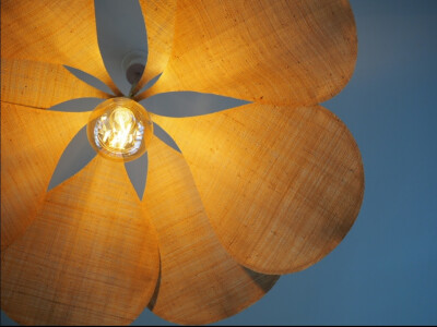 Pompon — photo 3
