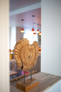 Pompon — photo 10