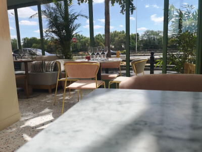 Oscar — photo 9