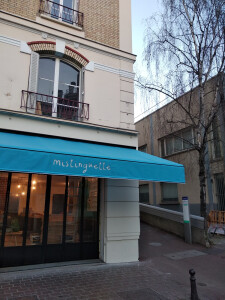 Mistinguette — photo 9