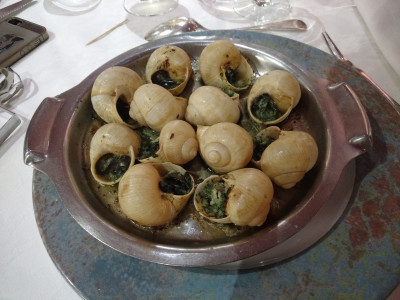 L'Escargot Qui Tette — photo 8