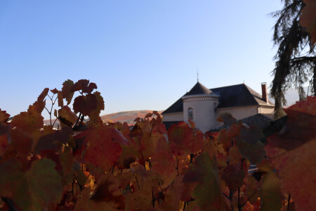 Château des Loges — photo 8