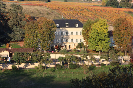 Château des Loges — photo 9