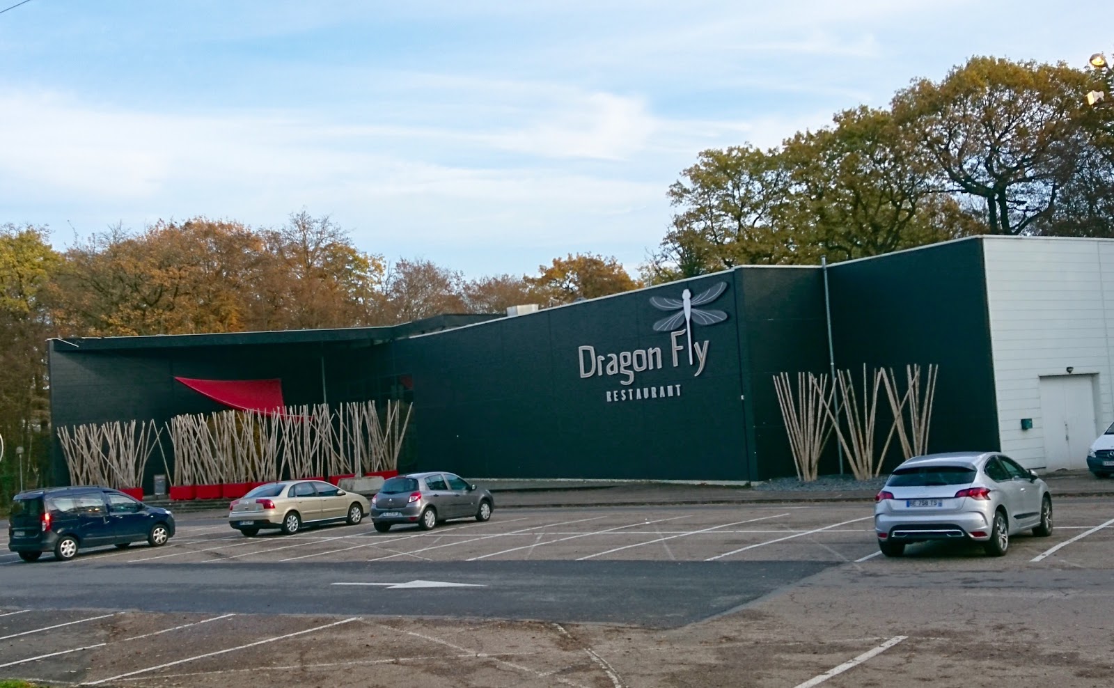 Dragon Fly — photo 3