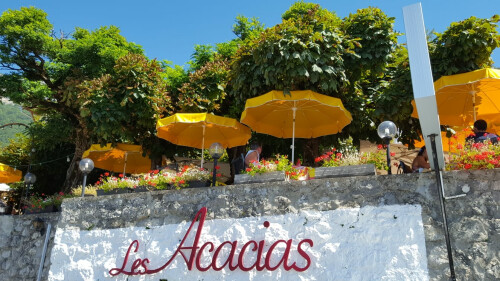Acacias — photo 9