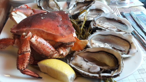 Le Crabe Marteau — photo 5