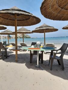 Le Lido — photo 3